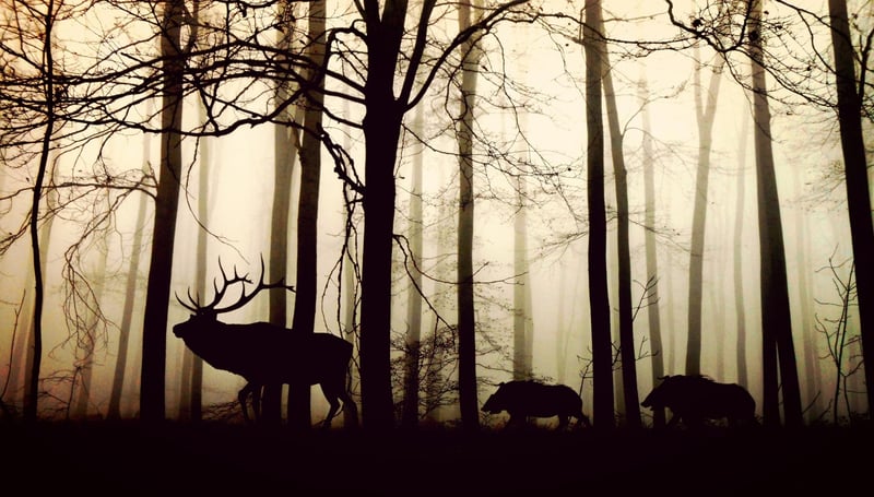 Silent Rumblings